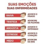 O Impacto das Emoções na Saúde Física.