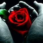 Como Lidar com o Luto e a Perda.