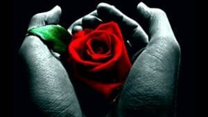 Como Lidar com o Luto e a Perda.