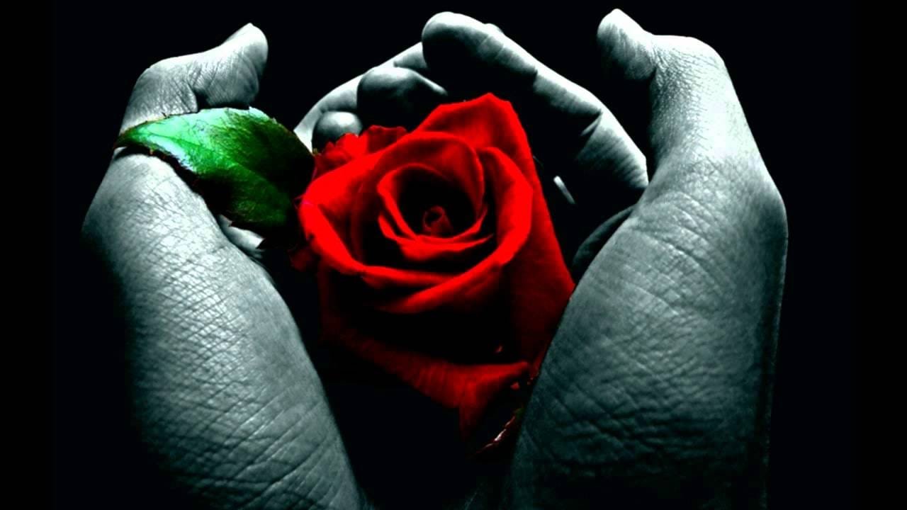 Como Lidar com o Luto e a Perda.